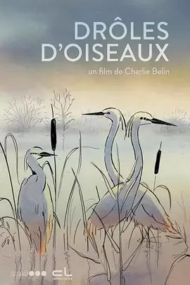 芭蕉视频在线观看